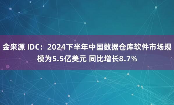 金来源 IDC：2024下半年中国数据仓库软件市场规模为5.5亿美元 同比增长8.7%