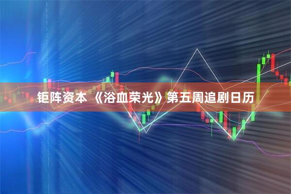 钜阵资本 《浴血荣光》第五周追剧日历