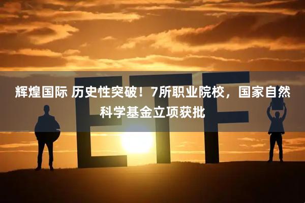 辉煌国际 历史性突破！7所职业院校，国家自然科学基金立项获批