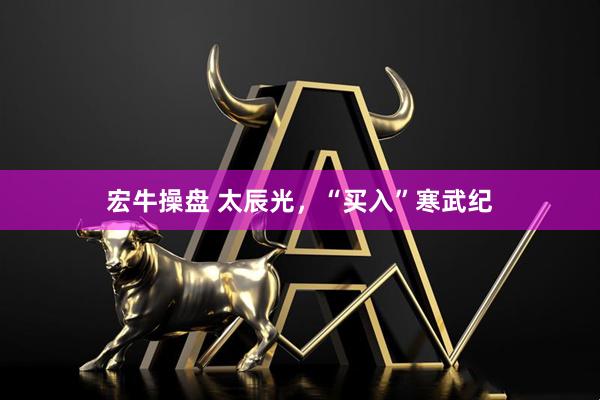 宏牛操盘 太辰光，“买入”寒武纪