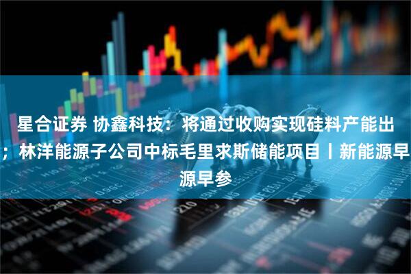 星合证券 协鑫科技：将通过收购实现硅料产能出清；林洋能源子公司中标毛里求斯储能项目丨新能源早参