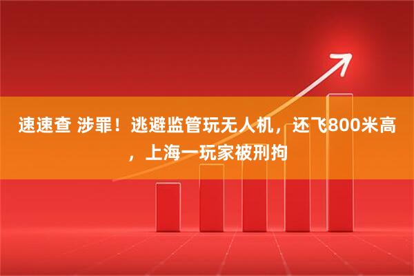 速速查 涉罪！逃避监管玩无人机，还飞800米高，上海一玩家被刑拘