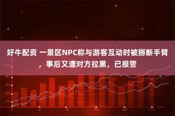 好牛配资 一景区NPC称与游客互动时被掰断手臂，事后又遭对方拉黑，已报警